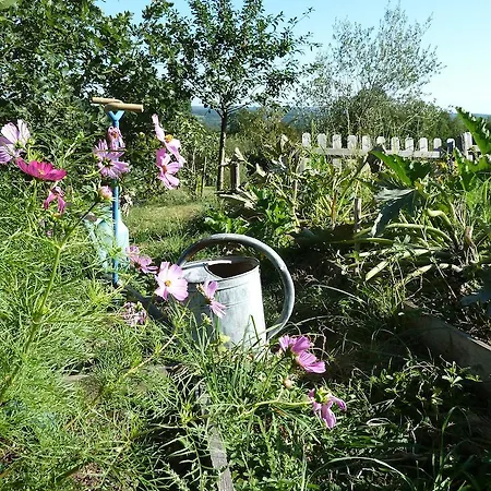 La Maison Du Parc Saint-Raphaël