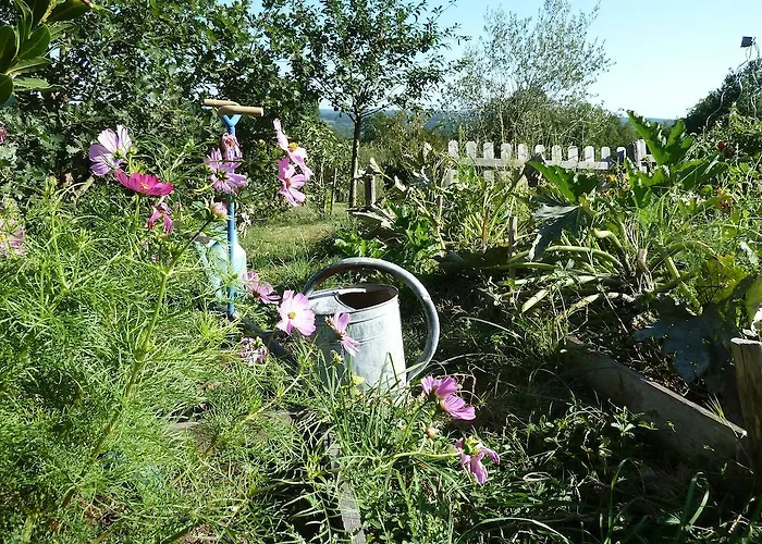 La Maison Du Parc Saint-Raphaël