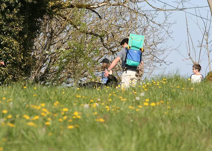 ベッド・アンド・ブレックファスト La Maison Du Parc Saint-Raphaël