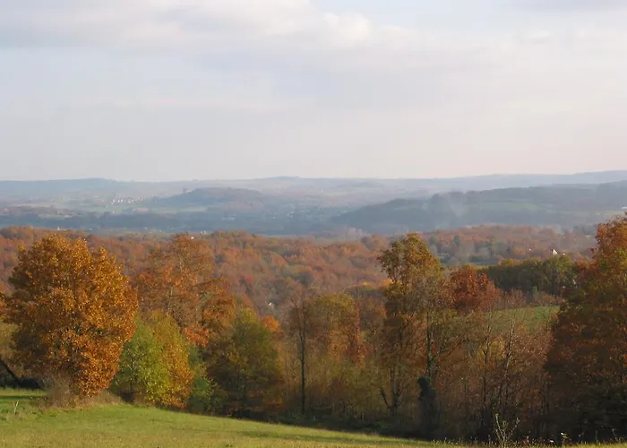 ベッド・アンド・ブレックファスト La Maison Du Parc Saint-Raphaël